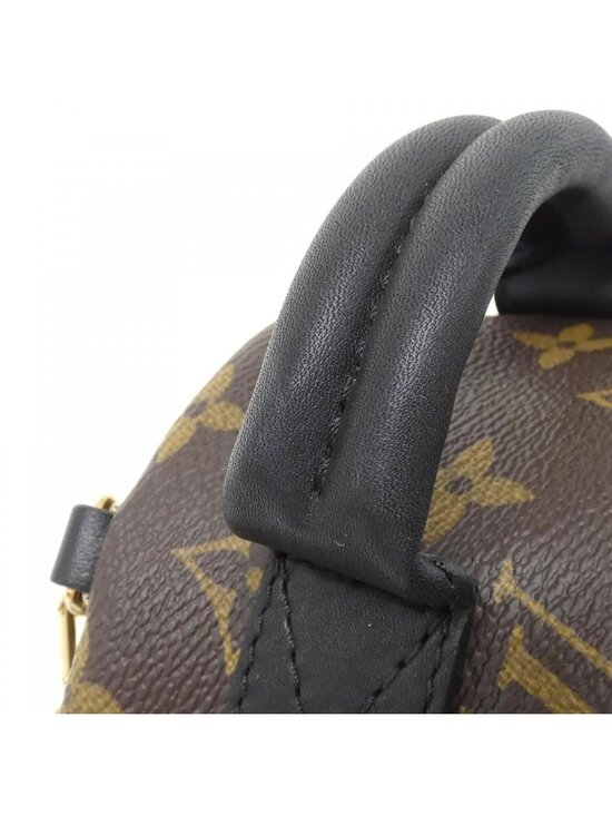 Louis Vuitton Monogram World Tour Palm Springs Backpack Mini main image 4